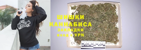 мдпв Вяземский