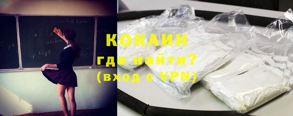 индика Волосово