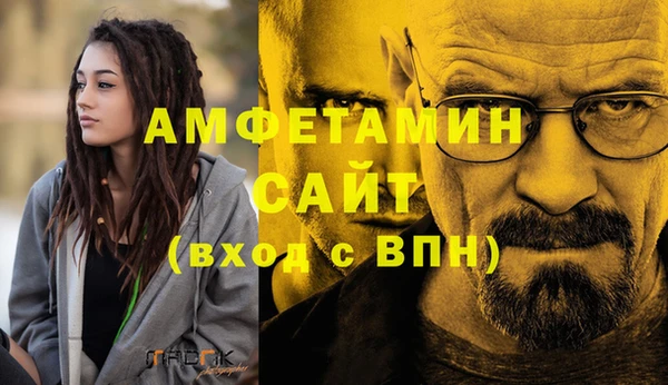 мдпв Вяземский