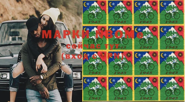 индика Волосово