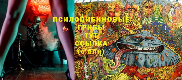 индика Волосово