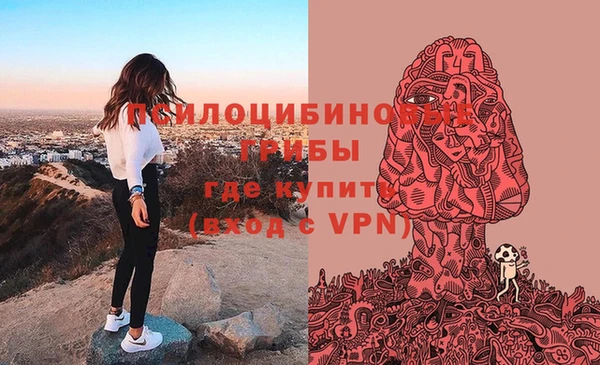 индика Волосово