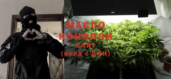 индика Волосово