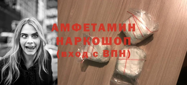 мдпв Вяземский